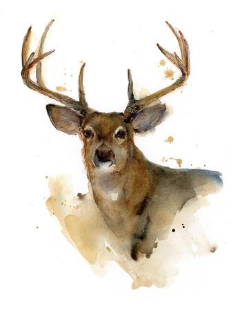Art Print, , small