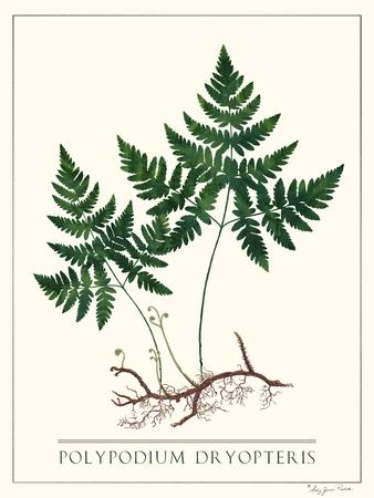 Art Print, , small
