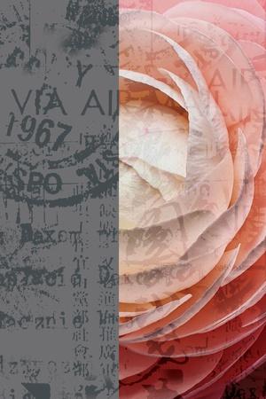 Art Print, , small