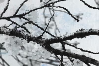 Photographic Print, , small