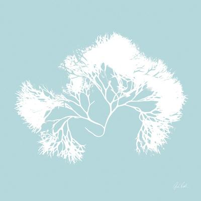 Photographic Print, , small