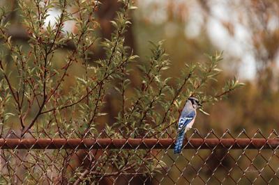 Photographic Print, , small