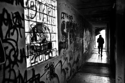 Photographic Print, , small