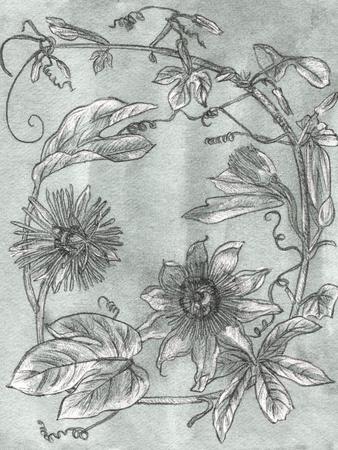 Art Print, , small