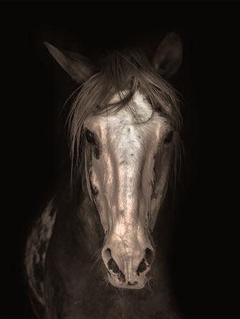 Art Print, , small