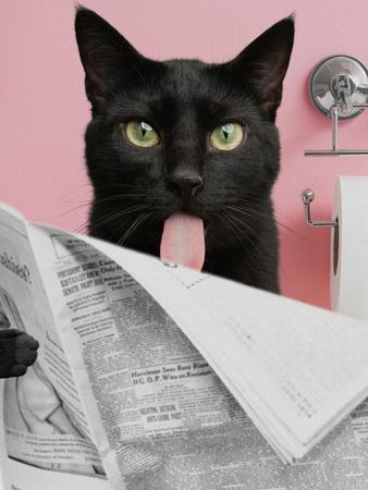Art Print, , small