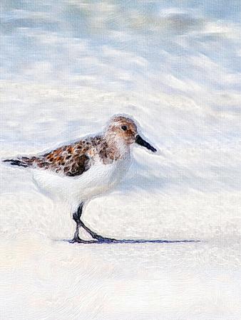 Art Print, , small