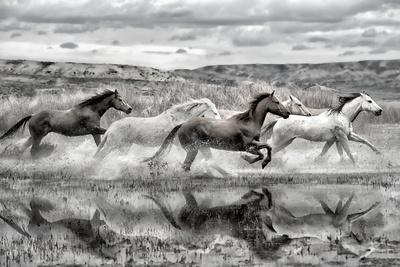 Photographic Print, , small