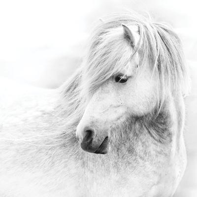 Photographic Print, , small