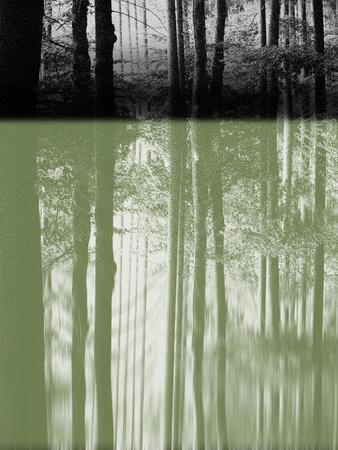 Art Print, , small