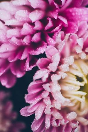 Photographic Print, , small