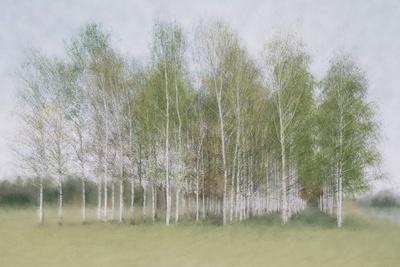 Photographic Print, , small