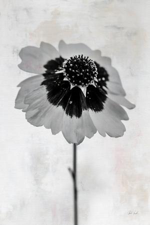 Photographic Print, , small