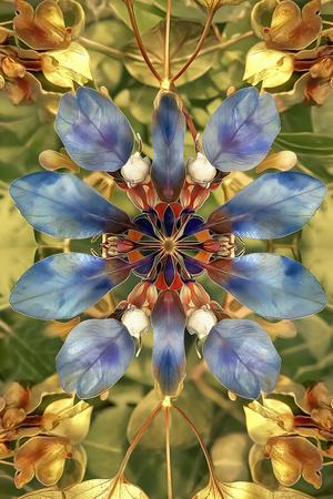 Art Print, , small