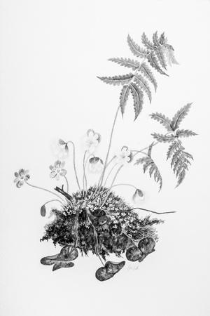 Photographic Print, , small
