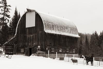 Photographic Print, , small