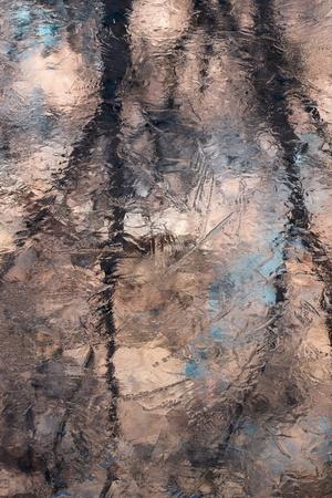 Photographic Print, , small