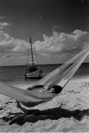 Photographic Print, , small