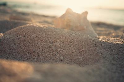 Photographic Print, , small