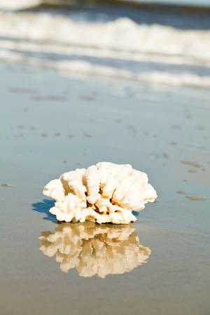 Photographic Print, , small