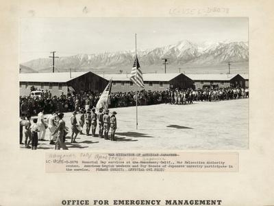 Photographic Print, , small