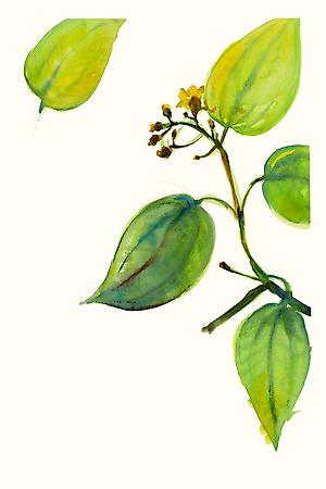 Giclee Print, , small
