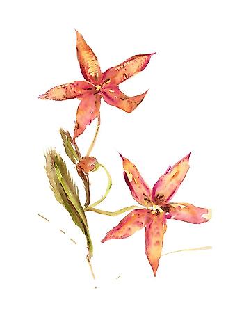 Giclee Print, , small