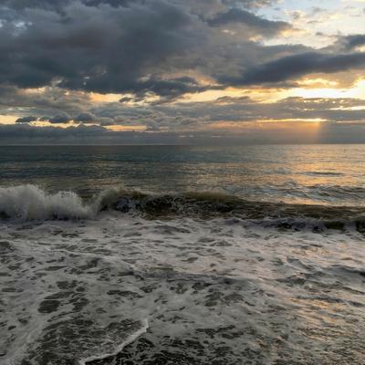 Photographic Print, , small
