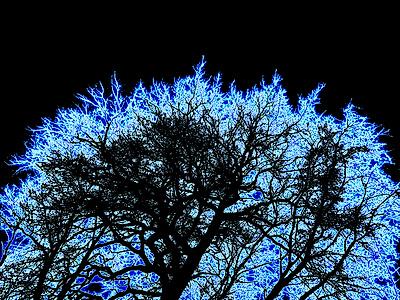 Photographic Print, , small