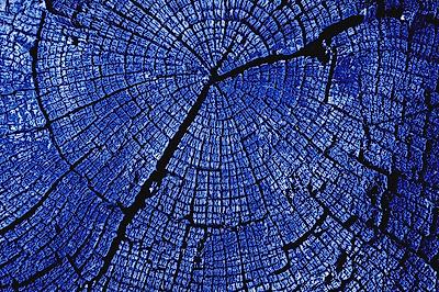 Photographic Print, , small