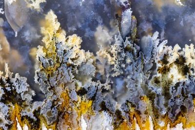 Photographic Print, , small