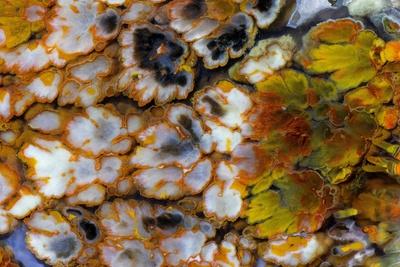 Photographic Print, , small