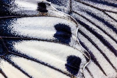 Photographic Print, , small