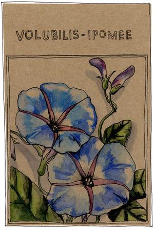 Giclee Print, , small