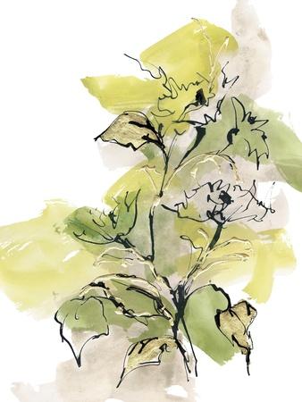 Giclee Print, , small