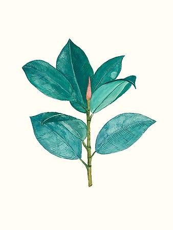 Giclee Print, , small