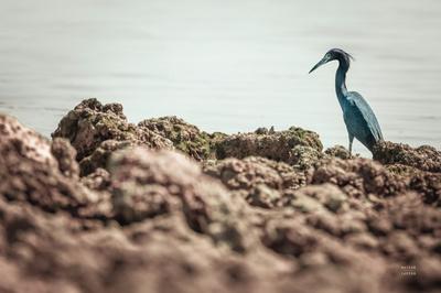 Photographic Print, , small