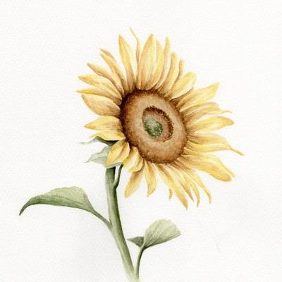 Art Print, , small