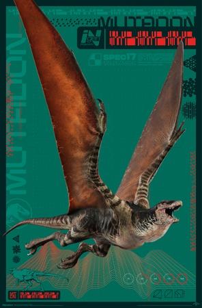 Poster, , small