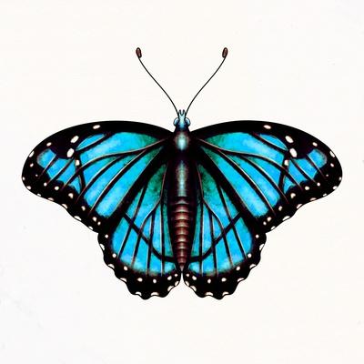 Art Print, , small