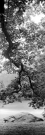 Photo, , small