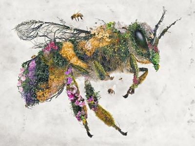 Art Print, , small