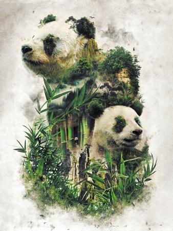 Art Print, , small