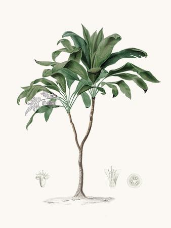 Art Print, , small