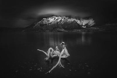 Photographic Print, , small