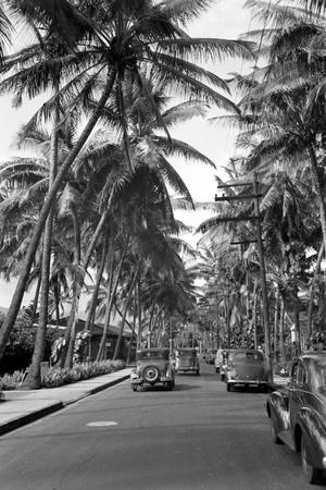 Photographic Print, , small