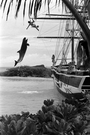 Photographic Print, , small