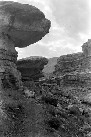 Photographic Print, , small