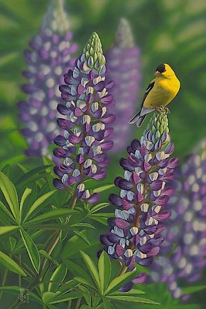 Art Print, , small