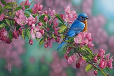 Art Print, , small